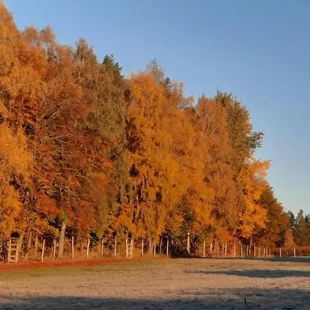 Dowielina - Wśród Natury * Wielin