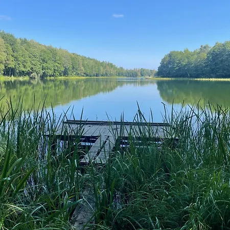 Dowielina - Wśród Natury