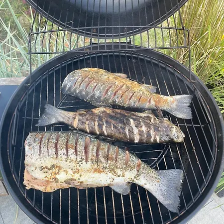 Chalet Dowielina - Wśród Natury
