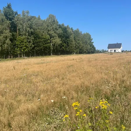 Dowielina - Wśród Natury * Wielin