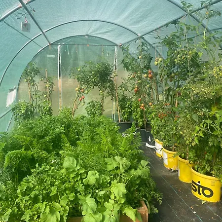 Dowielina - Wśród Natury Chalet Wielin