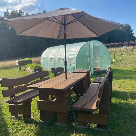 Dowielina - Wsrod Natury * Wielin