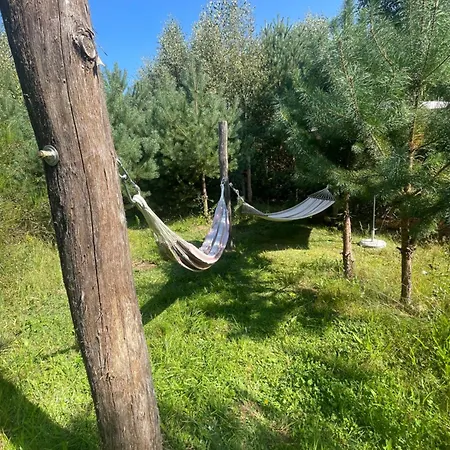 Dowielina - Wśród Natury Wielin