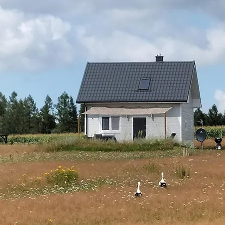 Dowielina - Wsrod Natury * Wielin