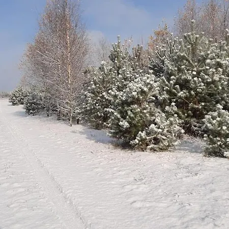 Dowielina - Wśród Natury Chalet Wielin