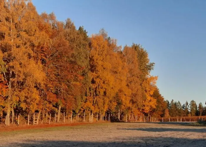 Dowielina - Wśród Natury * Wielin