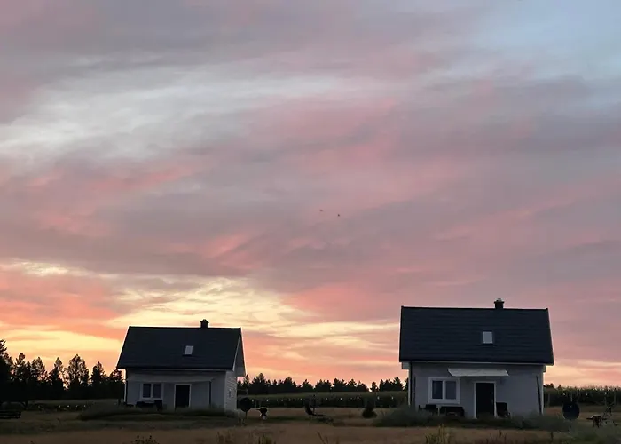 Dowielina - Wśród Natury Wielin