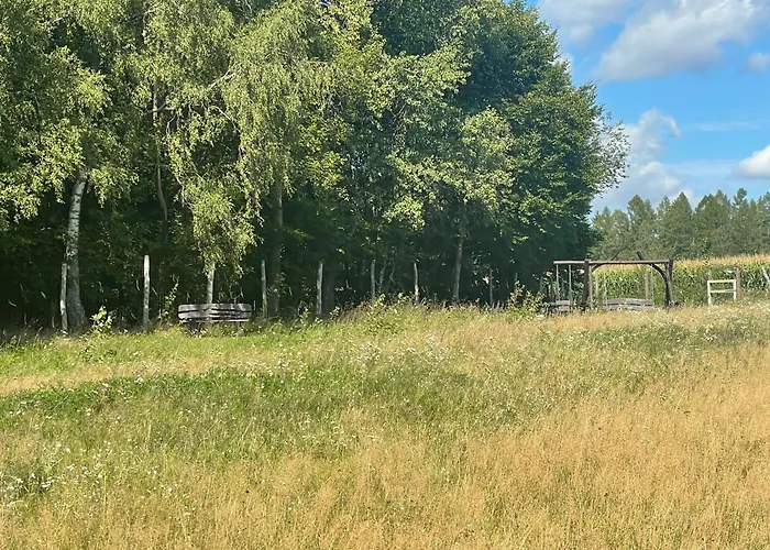 Dowielina - Wśród Natury * Wielin