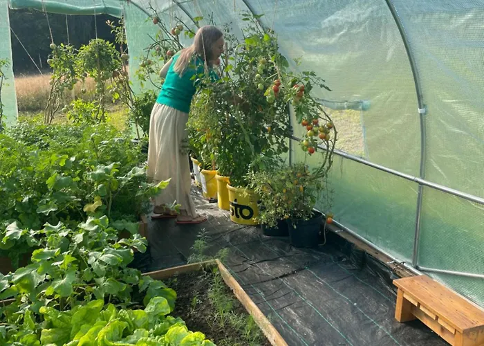 Dowielina - Wśród Natury Chalet *