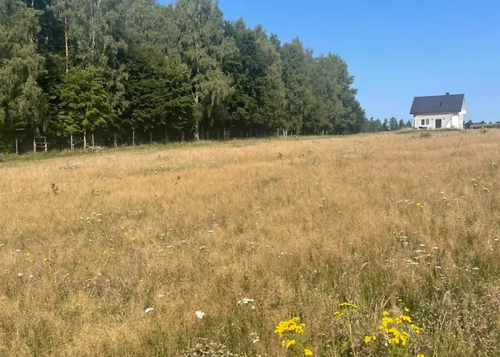 Dowielina - Wśród Natury * Wielin