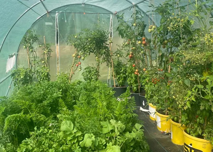 Dowielina - Wśród Natury Chalet Wielin