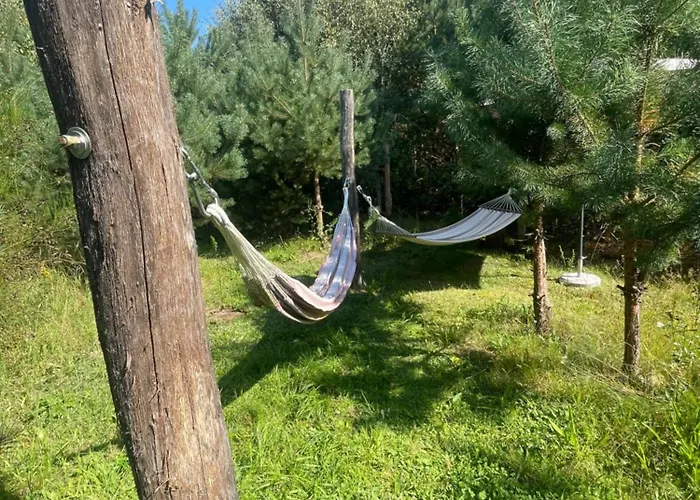 Dowielina - Wśród Natury Wielin