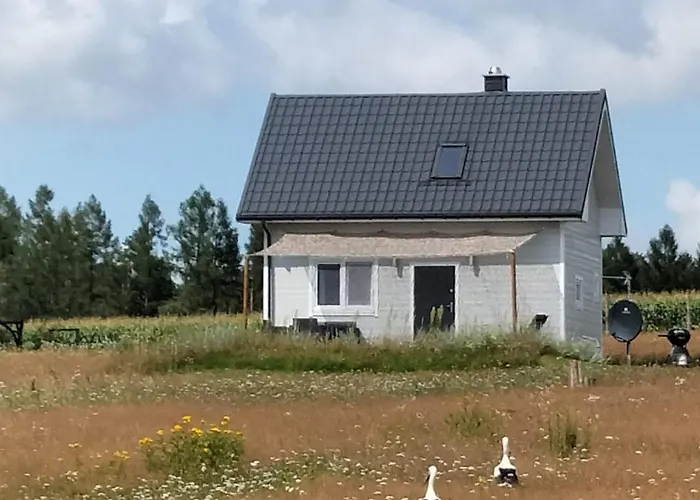 Dowielina - Wśród Natury * Wielin