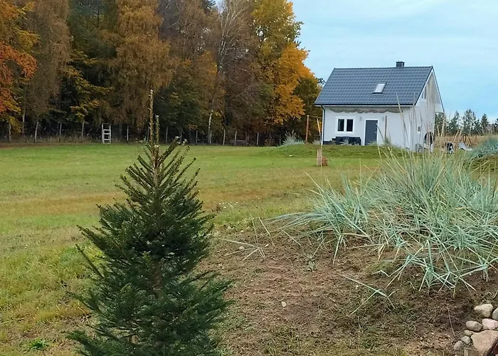 Dowielina - Wśród Natury Chalet *