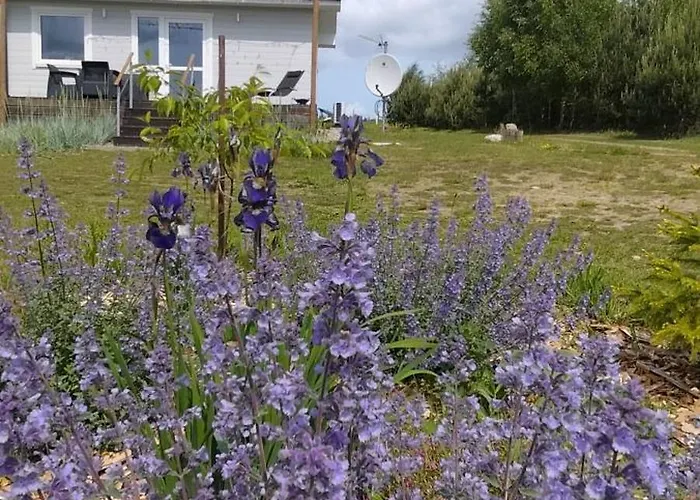 Dowielina - Wśród Natury * Wielin